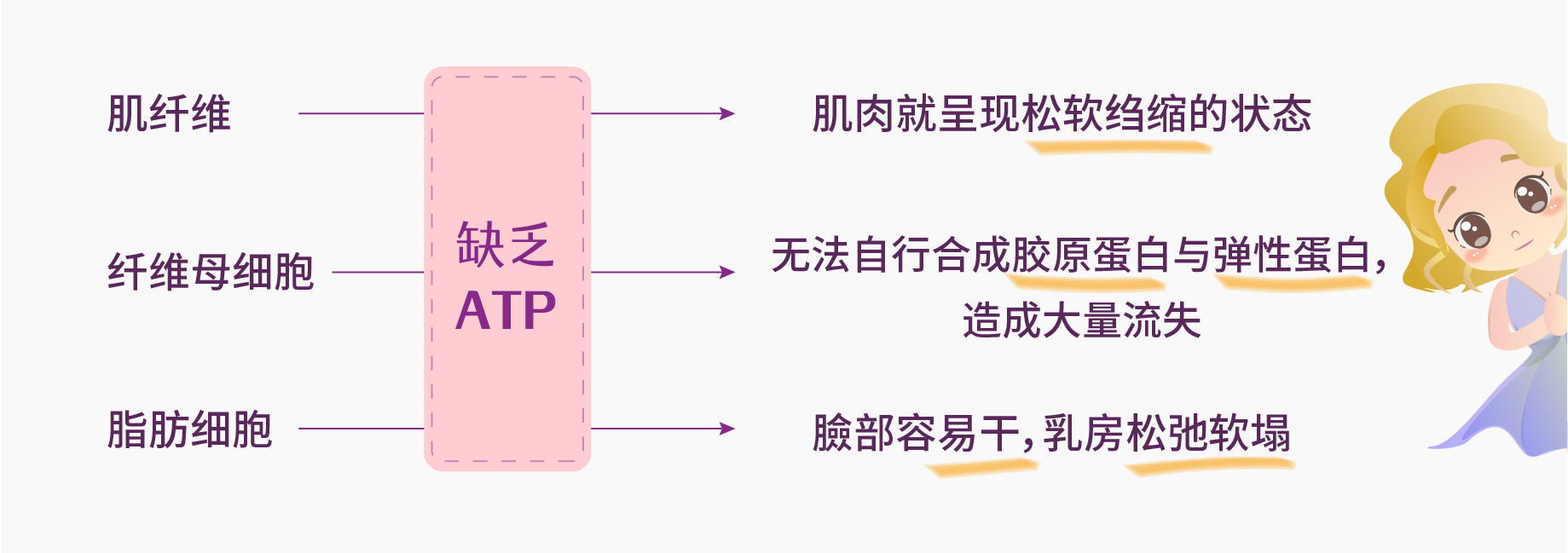 ATP與抗老知乎配圖_工作區域 1 複本 3.jpg